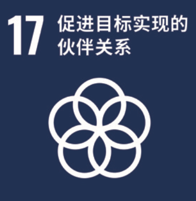 SDG 17 推进指标实现的同伴关系